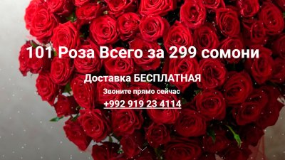 101 Роза»